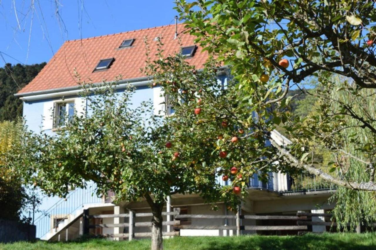 Les Locations De Stephanie ,Gite Le Verger Sondernach Zewnętrze zdjęcie
