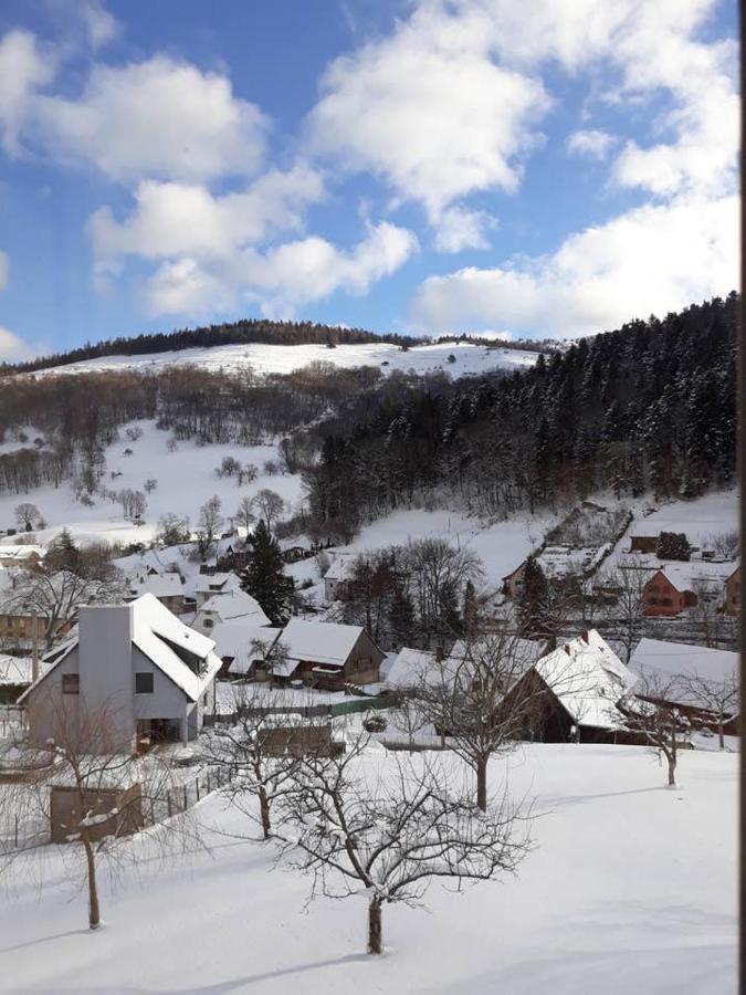 Les Locations De Stephanie ,Gite Le Verger Sondernach Zewnętrze zdjęcie