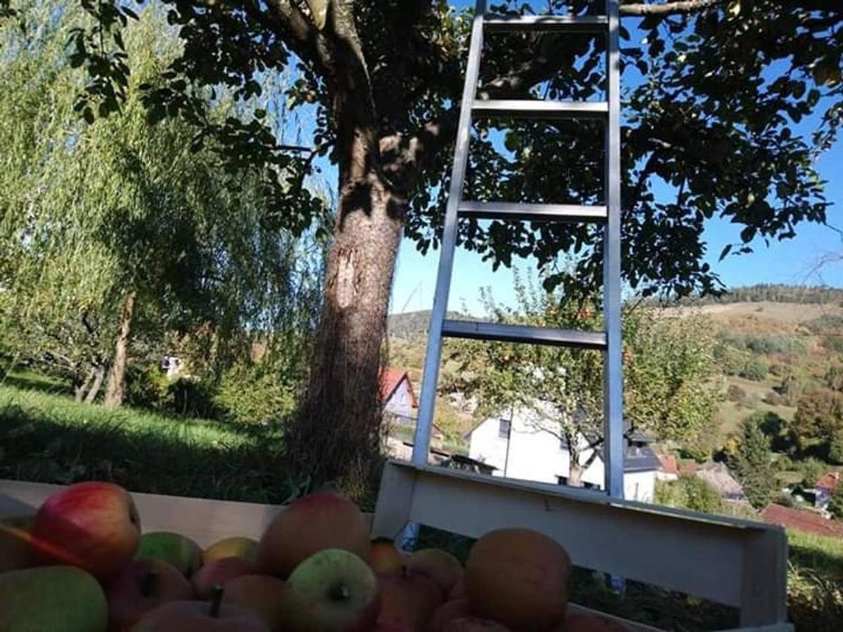 Les Locations De Stephanie ,Gite Le Verger Sondernach Zewnętrze zdjęcie