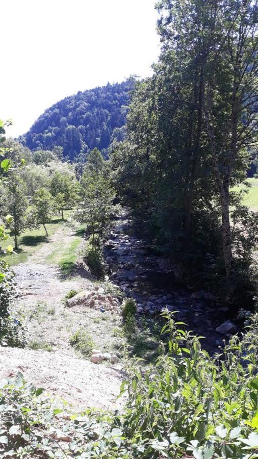 Les Locations De Stephanie ,Gite Le Verger Sondernach Zewnętrze zdjęcie