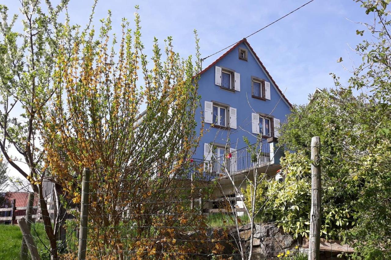 Les Locations De Stephanie ,Gite Le Verger Sondernach Zewnętrze zdjęcie