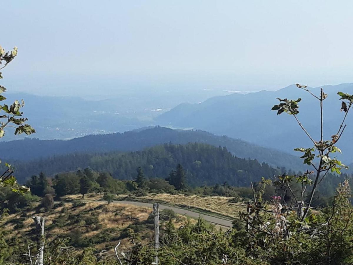 Les Locations De Stephanie ,Gite Le Verger Sondernach Zewnętrze zdjęcie