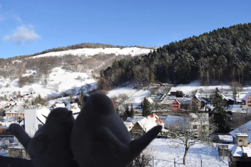 Les Locations De Stephanie ,Gite Le Verger Sondernach Zewnętrze zdjęcie