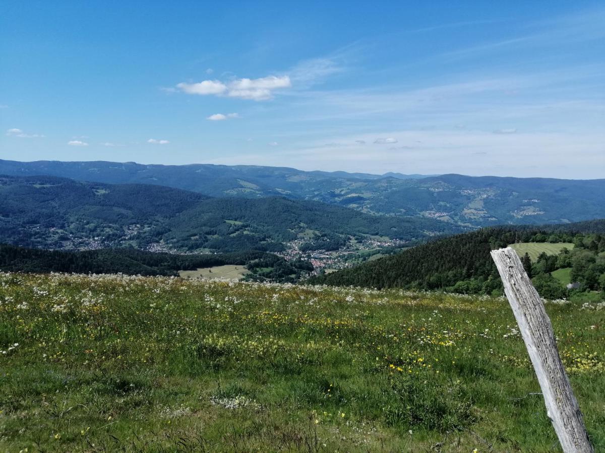 Les Locations De Stephanie ,Gite Le Verger Sondernach Zewnętrze zdjęcie
