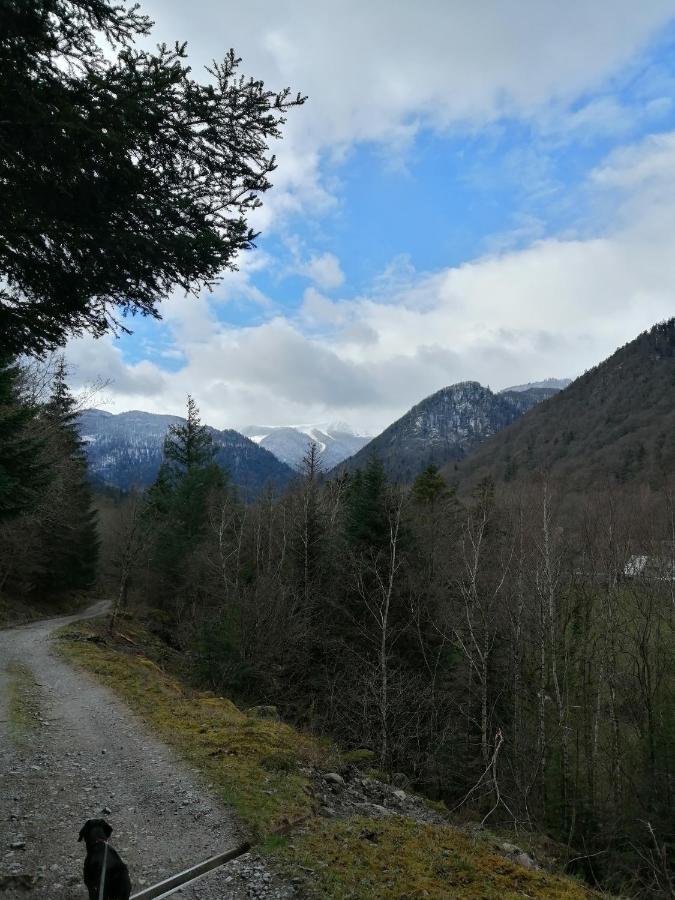 Les Locations De Stephanie ,Gite Le Verger Sondernach Zewnętrze zdjęcie